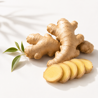 Organically Grown Ginger 200g