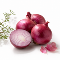 Onion 1kg