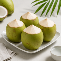 Tender Coconut 1 pc