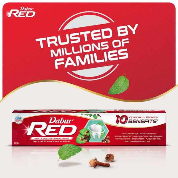 Dabur Red Ayurvedic Toothpaste 500g