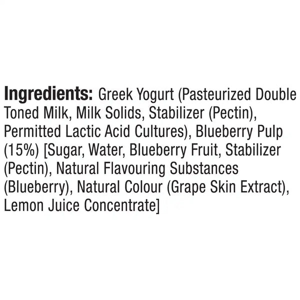 Epigamia Greek Yogurt Blueberry