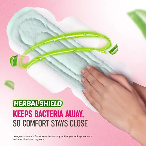 Sofy AntiBacteria XL Sanitary Pads | 6 Layer Deep Absorption | 290mm 14pcs