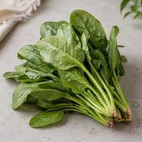 Spinach (Palak) - 500 g