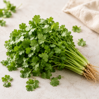 Coriander Leaves 100 grams