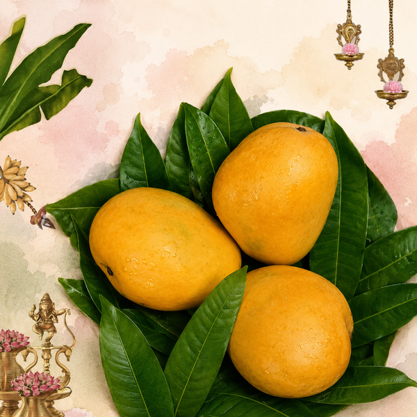 Fresh SAFEDA Mangoes — Orchard-Picked, Home-Delivered 1KG